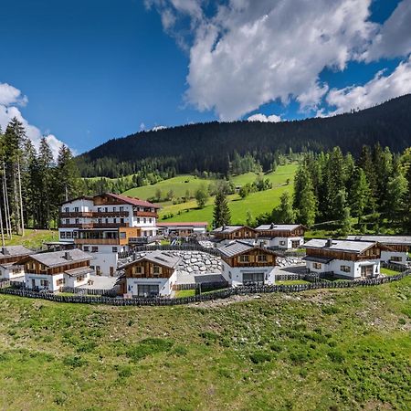 Das Eulersberg Apartments & Chalets Werfenweng Dış mekan fotoğraf