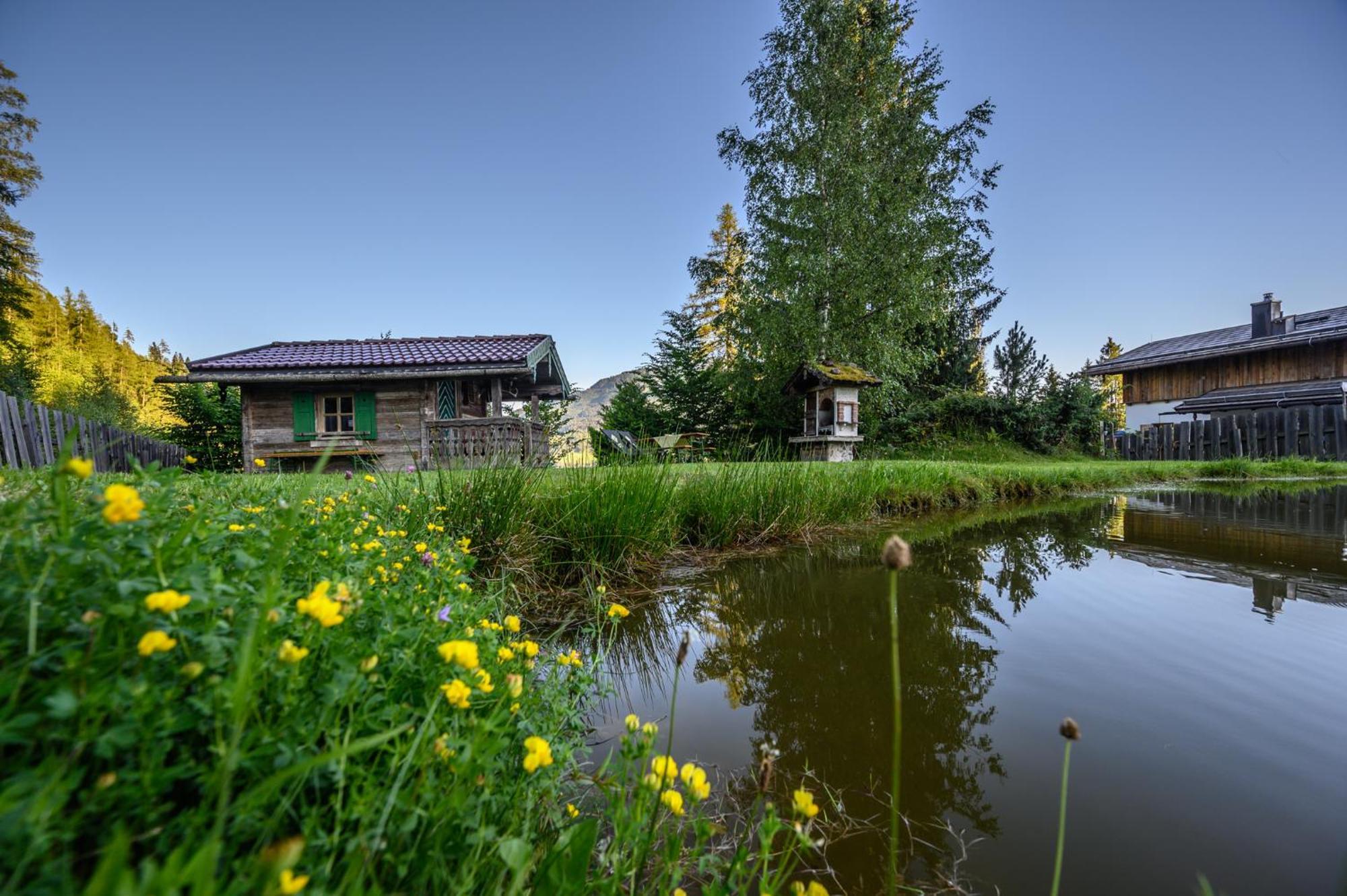 Das Eulersberg Apartments & Chalets Werfenweng Dış mekan fotoğraf